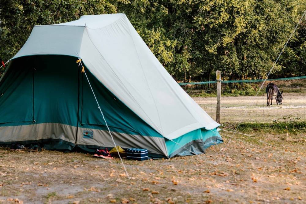 camper van pitch Libourne